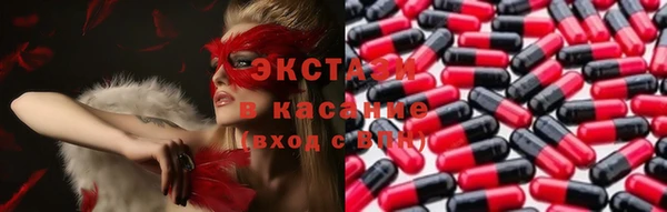 СК Зеленокумск