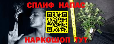 молекула духа Абинск