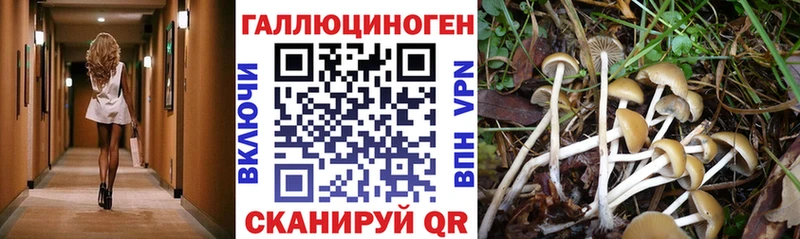 это какой сайт  Славгород  Псилоцибиновые грибы MAGIC MUSHROOMS  цены наркотик 