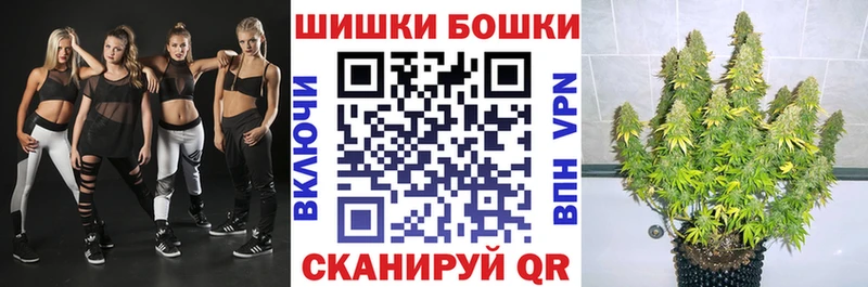 Бошки Шишки марихуана  где продают наркотики  Славгород 